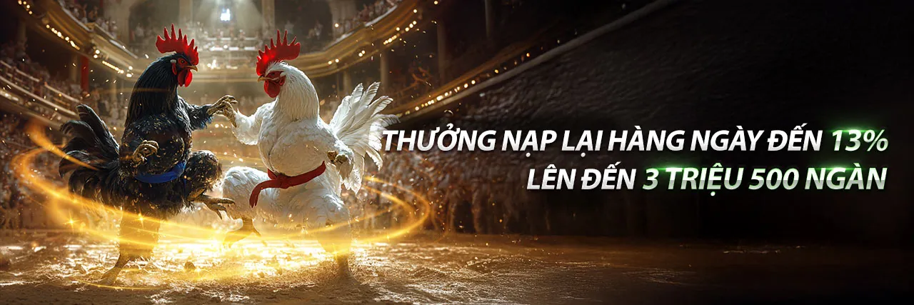 Tổng quan về shbetv8 đăng nhập 2026 - Nền tảng cá cược trực tuyến uy tín hàng đầu